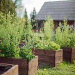 Holiday home Large, Atmospheric In The Countryside Belczna