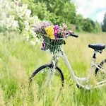 Holiday home Large, Atmospheric In The Countryside