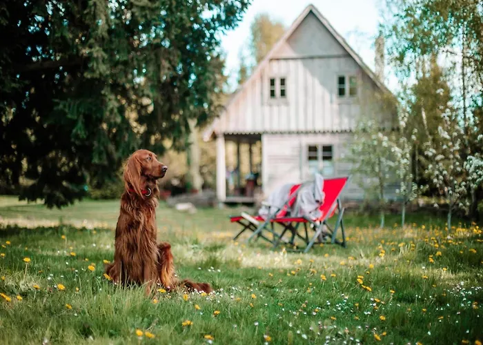 Large, Atmospheric In The Countryside Belczna