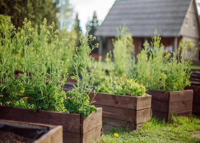 Holiday home Large, Atmospheric In The Countryside Belczna