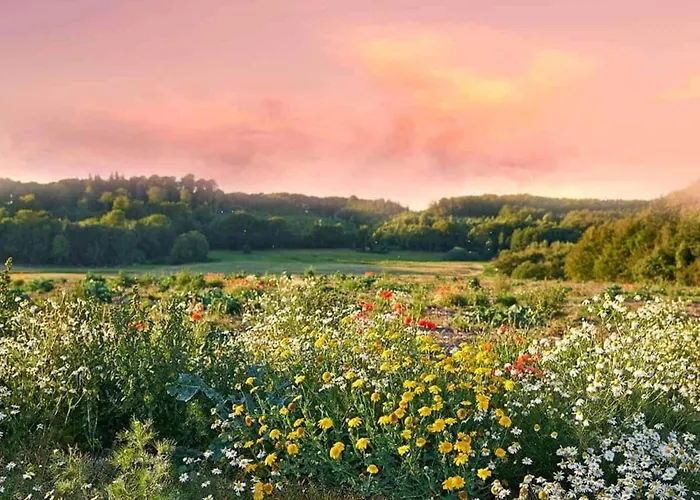 Holiday home Large, Atmospheric In The Countryside