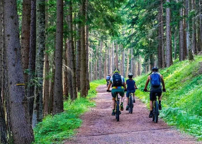 Large, Atmospheric In The Countryside Holiday home